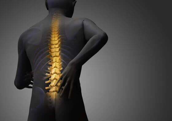 Difference between osteopath, physiotherapist and chiropractor